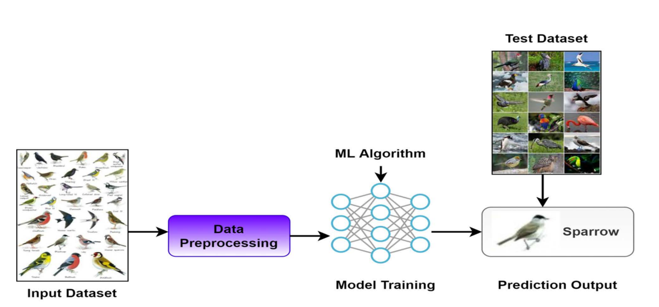 Framework of supervised learning